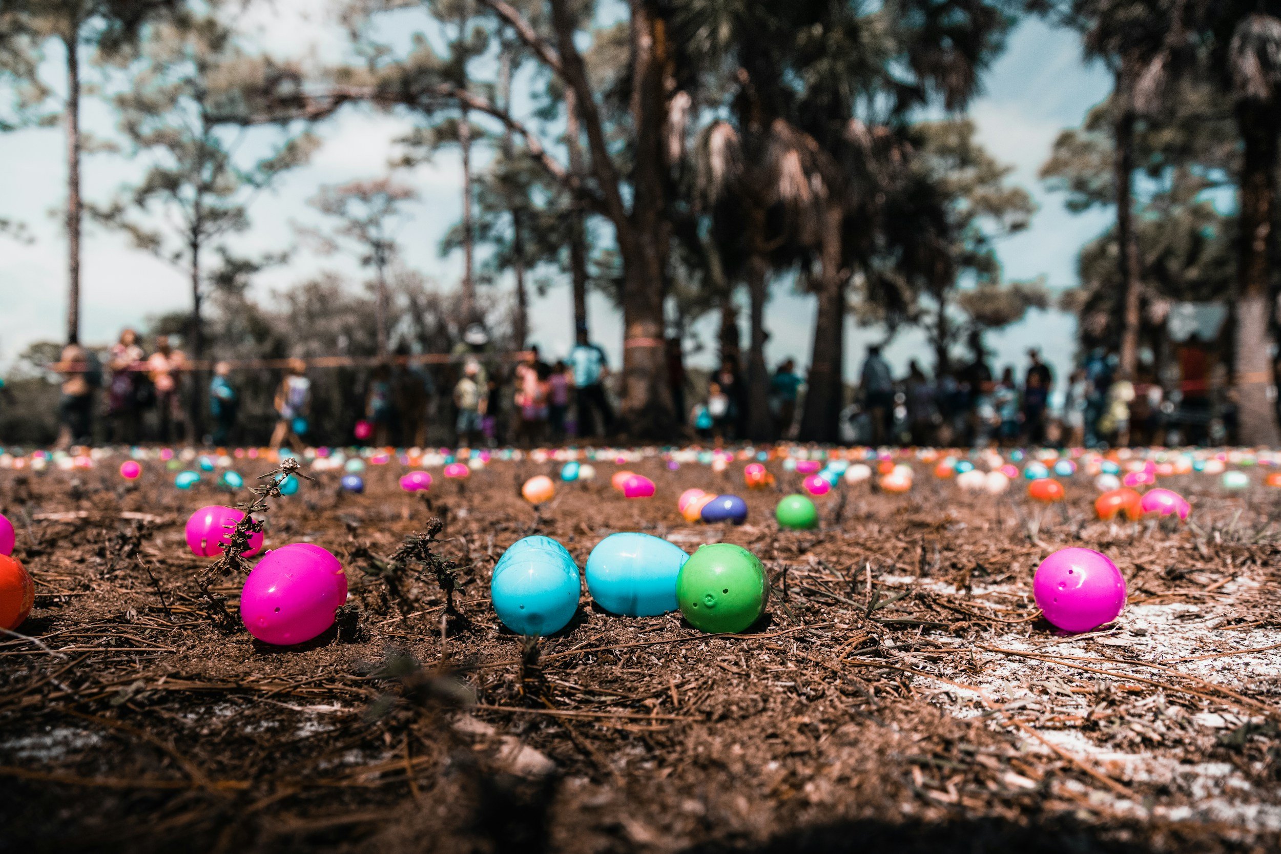 Colorful Easter eggs scattered on the ground in a park during an Easter egg hunt, with a crowd of people in the background enjoying the festive event.